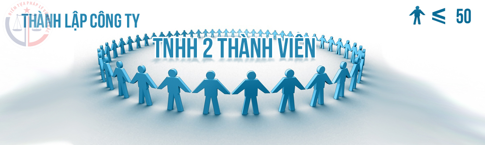 Mô hình tổ chức quản lý công ty TNHH 2 thành viên trở lên